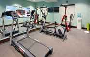 Fitness Center 3 Holiday Inn Express & Suites WEST COXSACKIE, an IHG Hotel