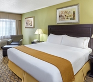 Bedroom 6 Holiday Inn Express & Suites CHICAGO-LIBERTYVILLE, an IHG Hotel