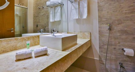 其他 2 Holiday Inn GOIANIA by IHG, an IHG Hotel