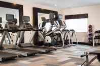Fitness Center Holiday Inn Express LE CLAIRE RIVERFRONT-DAVENPORT, an IHG Hotel