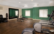 Fitness Center 6 Holiday Inn Express & Suites INDEPENDENCE-KANSAS CITY, an IHG Hotel