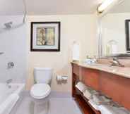 In-room Bathroom 6 Holiday Inn Express HARRISBURG SW - MECHANICSBURG, an IHG Hotel