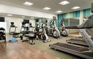 Fitness Center 3 Holiday Inn Express & Suites CLEAR SPRING, an IHG Hotel