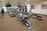Fitness Center Staybridge Suites MILWAUKEE WEST-OCONOMOWOC, an IHG Hotel
