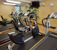 Pusat Kebugaran 3 Holiday Inn Express & Suites ST. LOUIS WEST - FENTON, an IHG Hotel