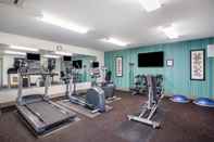 Fitness Center Holiday Inn Express WISCONSIN DELLS, an IHG Hotel