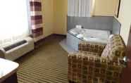 Others 3 Holiday Inn Express & Suites PONCA CITY, an IHG Hotel