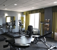 Fitness Center 3 Holiday Inn CHICAGO OAKBROOK, an IHG Hotel