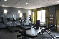 Fitness Center Holiday Inn CHICAGO OAKBROOK, an IHG Hotel