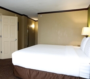 Bedroom 4 Holiday Inn CHICAGO OAKBROOK, an IHG Hotel