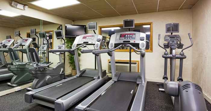 Fitness Center Holiday Inn ALEXANDRIA, an IHG Hotel