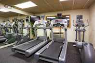 Fitness Center Holiday Inn ALEXANDRIA, an IHG Hotel