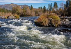 娛樂設施 4 Candlewood Suites MEDFORD by IHG