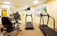 Fitness Center 6 Holiday Inn BATTLE CREEK, an IHG Hotel