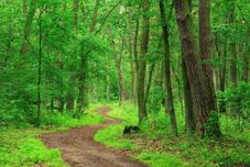 公共空間 Crowne Plaza PORTLAND-LAKE OSWEGO, an IHG Hotel