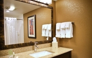 In-room Bathroom 7 Holiday Inn & Suites LA CROSSE - DOWNTOWN, an IHG Hotel