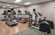 Fitness Center 3 Holiday Inn Express TROY, an IHG Hotel