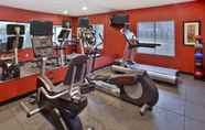 Fitness Center 3 Holiday Inn Express & Suites FRANKENMUTH, an IHG Hotel