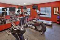 Fitness Center Holiday Inn Express & Suites FRANKENMUTH, an IHG Hotel