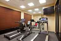 Fitness Center Holiday Inn ST. LOUIS-FAIRVIEW HEIGHTS, an IHG Hotel