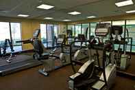 Fitness Center Holiday Inn Express & Suites LANSING-DIMONDALE, an IHG Hotel