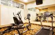 Fitness Center 6 Holiday Inn AURORA NORTH- NAPERVILLE, an IHG Hotel