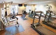 Fitness Center 4 Holiday Inn Express & Suites HAGERSTOWN, an IHG Hotel