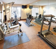 Fitness Center 4 Holiday Inn Express & Suites HAGERSTOWN, an IHG Hotel