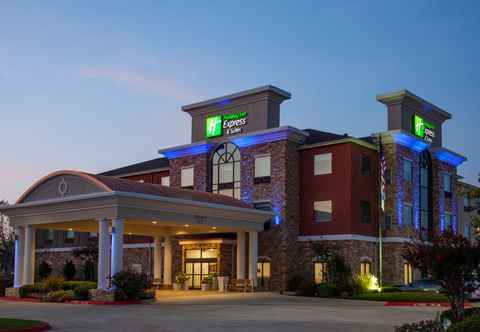 Exterior Holiday Inn Express & Suites TEXARKANA, an IHG Hotel