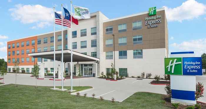 ภายนอกอาคาร Holiday Inn Express & Suites BRYAN - COLLEGE STATION, an IHG Hotel
