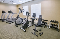 Fitness Center Holiday Inn DALLAS DFW AIRPORT AREA WEST, an IHG Hotel