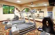 Fitness Center 7 Holiday Inn Express & Suites LOS ALAMOS ENTRADA PARK, an IHG Hotel