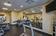 Fitness Center 7 Holiday Inn Express & Suites WYTHEVILLE, an IHG Hotel