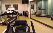 ห้องออกกำลังกาย 4 Holiday Inn Express & Suites DYERSBURG, an IHG Hotel