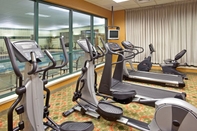 Fitness Center Holiday Inn & Suites BOLINGBROOK, an IHG Hotel