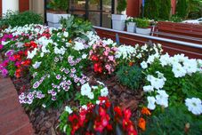 公共空间 Holiday Inn Express & Suites ATLANTA-EMORY UNIVERSITY AREA by IHG, an IHG Hotel