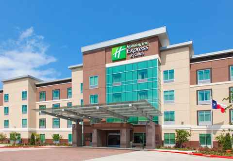 Exterior Holiday Inn Express & Suites HOUSTON S - MEDICAL CTR AREA, an IHG Hotel