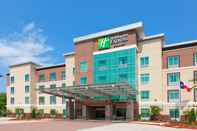 Exterior Holiday Inn Express & Suites HOUSTON S - MEDICAL CTR AREA, an IHG Hotel