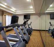 ห้องออกกำลังกาย 3 Holiday Inn Express & Suites LOS ANGELES AIRPORT HAWTHORNE, an IHG Hotel