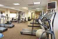 Fitness Center Holiday Inn & Suites CHICAGO-DOWNTOWN, an IHG Hotel