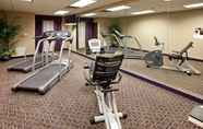 Fitness Center 6 Holiday Inn Express & Suites ADA, an IHG Hotel