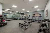 Fitness Center Holiday Inn Express & Suites DENVER SOUTH - CASTLE ROCK, an IHG Hotel