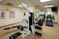 Fitness Center Holiday Inn CHANTILLY-DULLES EXPO (ARPT), an IHG Hotel