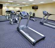 Fitness Center 7 Holiday Inn Express & Suites GRAND ISLAND, an IHG Hotel