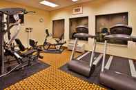 ห้องออกกำลังกาย Holiday Inn Express & Suites ORLANDO-OCOEE EAST, an IHG Hotel