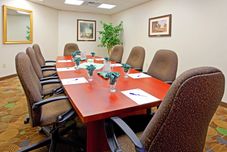 ห้องประชุม Holiday Inn Express & Suites ALBANY AIRPORT AREA - LATHAM by IHG, an IHG Hotel