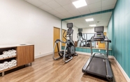 Fitness Center 5 Holiday Inn Express METROPOLIS, an IHG Hotel