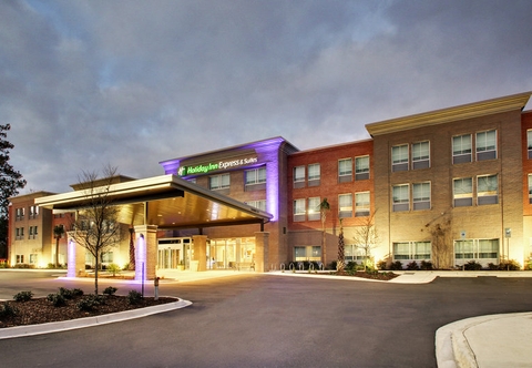 Exterior Holiday Inn Express & Suites CHARLESTON NE MT PLEASANT US17, an IHG Hotel