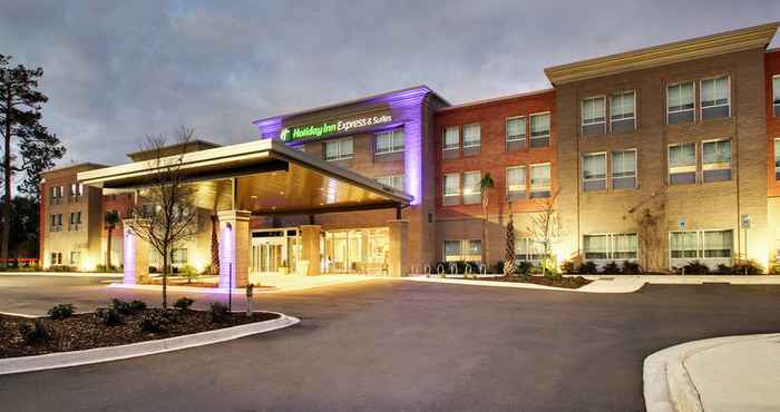 Luar Bangunan Holiday Inn Express & Suites CHARLESTON NE MT PLEASANT US17, an IHG Hotel