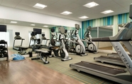 Fitness Center 5 Holiday Inn Express & Suites MALL OF AMERICA - MSP AIRPORT, an IHG Hotel